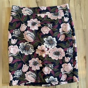 Ann Taylor Pencil Skirt